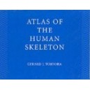 ATLAS OF THE HUMAN SKELETON